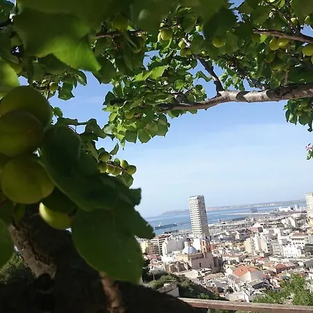 Apartamento Front-awesome Seaviews-aa-wifi